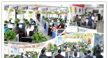 西南領先的一站式數字服務 重慶四模建站、全網推廣與軟件開發解決方案